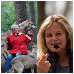 Zwei neue Seminare zum Thema Mehrhundehaltung und Coaching für Hundehalter 2024
